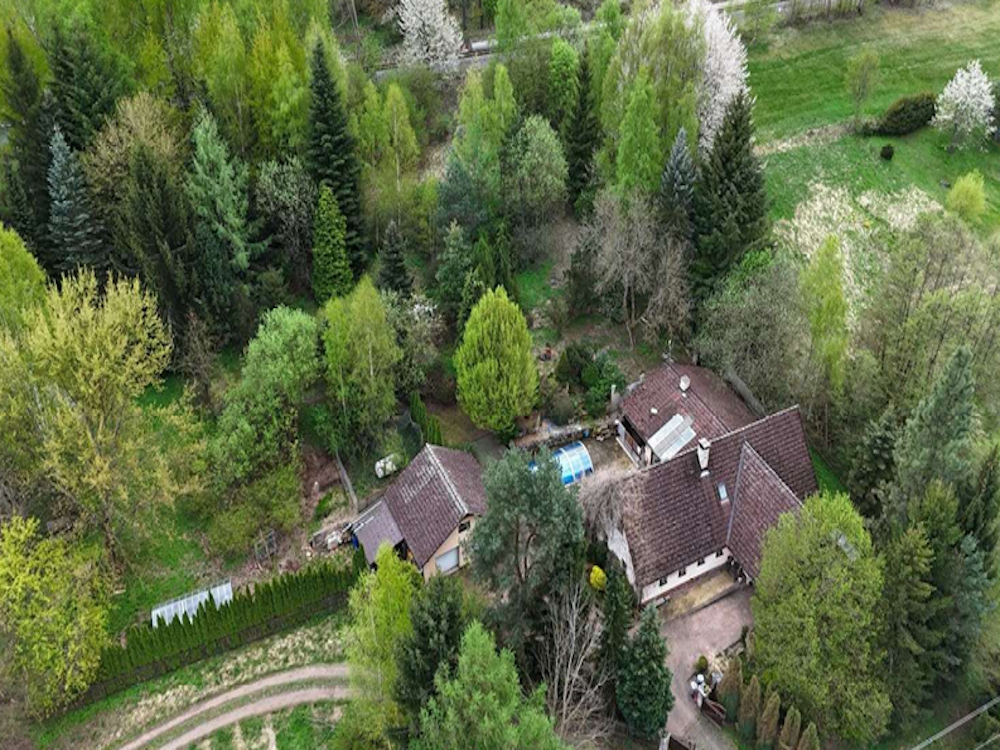 Borovnice 170, Borovnice, okres Trutnov,